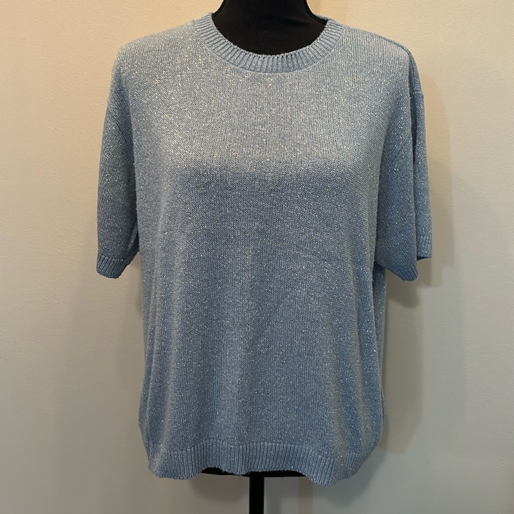 Silver‎ Sweater Shirt with Sparkle Detail Women’s size large?